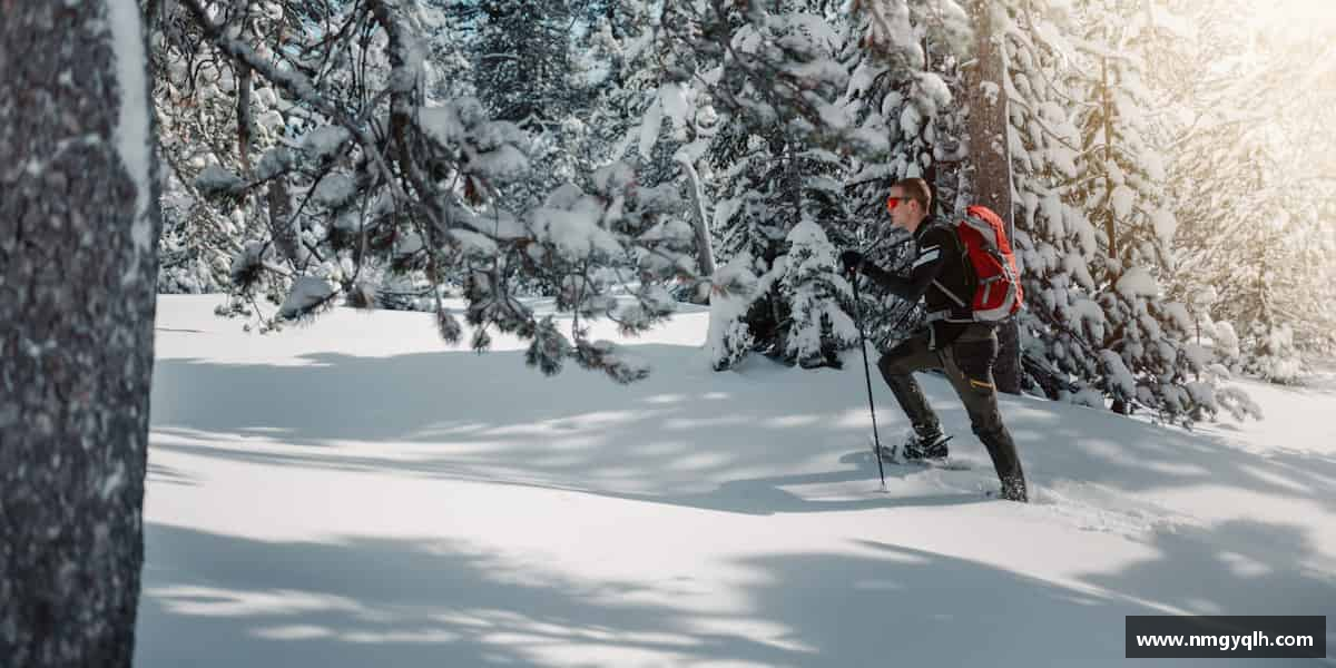OETY中国官方网站拼搏不仅是力量的表现，也是勇气的象征。
